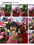Tuan Ng...