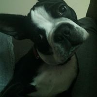 William Joseph White