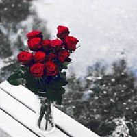 مريم نصيرات