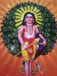 Ajay Pradeep