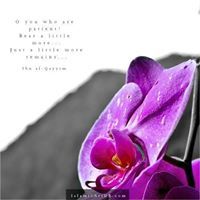 Afsah Asif