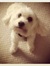 Amy N