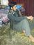 Numi Khan