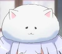 Димитър Тошев