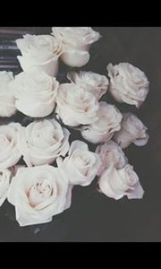 Reham Gaber
