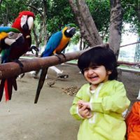 Ahmad Qureshi