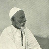 Hamza Elhamadi