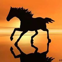 محمد السايح