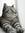 Thet Hnin | 2 comments
