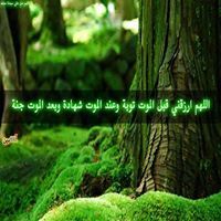 نعمة الشيشينى