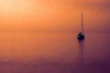 محمد الزعبي