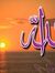 Radwa E...