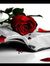 Vipin P...