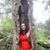 Sindu Boriah