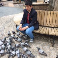Cavid Ahmedov