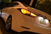 جعفر الفردان