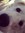 Aimee
