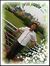 Shivam ...