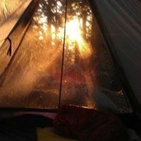 სოფო ქველაძე