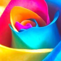 Priyadharshini Srinivasan