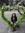 Bery (bery91) | 2 comments