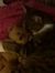 Alyce H...