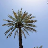 الثغر الباسم