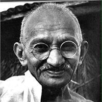 محمود صلاح الدين