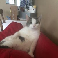 Catherine Louise