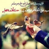 Assem Mohamed