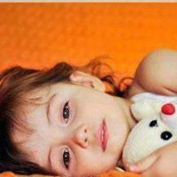 زهرة اللوتس