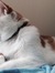 Amy