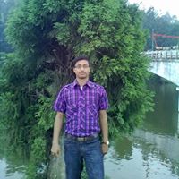 Dipankar Roy