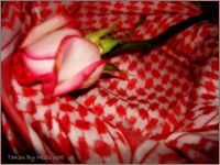 احمد الصميعات