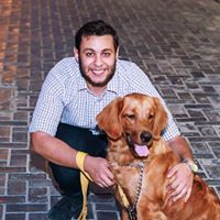 Mohamed Mohsen