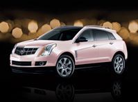 Tammy Roberts Endicott