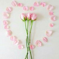 مريم العراقى