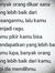 Aulia R...