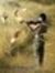 Omar Gaber