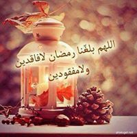Amr Rabea