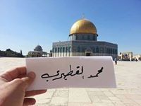 محمد القطري