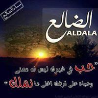 حمدي محمد احمد محسن