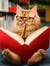 Candice =^,,^=