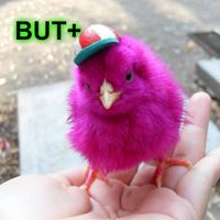 Chikibootch Kikiboom