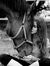 Merna M...