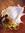 Manar Ahmed | 5 comments