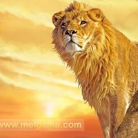 Abdellatif Boukernousk