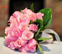 Najlaa Abd Al Hafedh