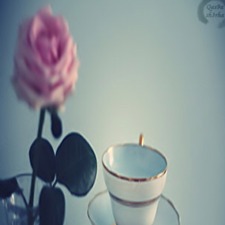 Rasha aljml