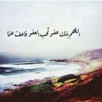 وجدان الهوساوي